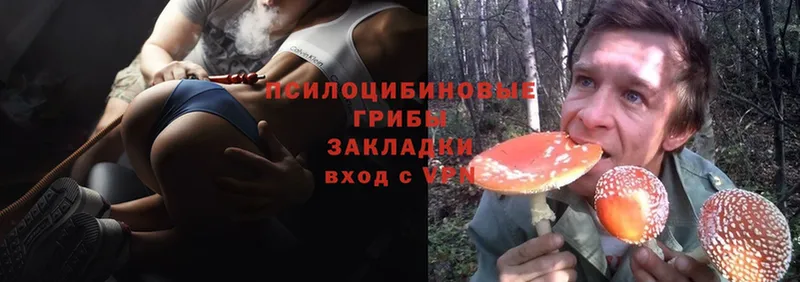 Псилоцибиновые грибы Magic Shrooms  Новая Усмань 